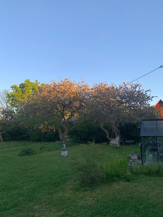 Martebo Bed & Breakfast Tingstade Экстерьер фото